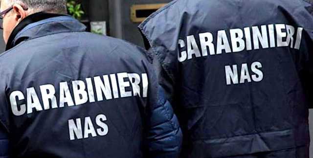 Blatte vive in cucina e nidi negli scaffali, i Nas chiudono un ristorante asiatico a Cagliari