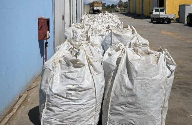 Quasi 4 tonnellate di marijuana nascoste in un'azienda agricola a Ozieri: avrebbero fruttato 15 milioni di euro (Video)