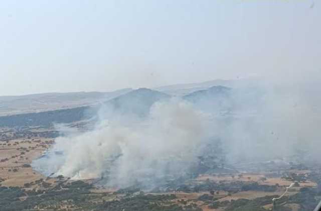 Quasi 15 roghi in Sardegna oggi: ancora fuoco a Ballao, Ardara e Pattada
