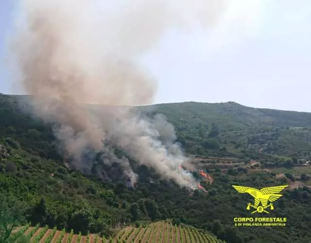 Ancora fuoco in Sardegna, 25 roghi scoppiati oggi: elicotteri in volo