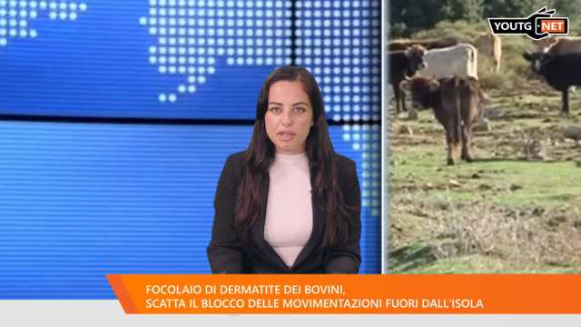 Il Tg della sera - 23 Giugno 2025