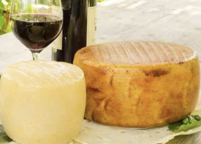 Vini e formaggi sardi conquistano Osaka all'Expo 2025, l'assessore: 