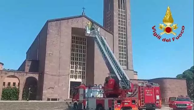 Cercano un cavo pericolante, trovano uno sciame d'api: l'intervento a Fertilia (VIDEO)