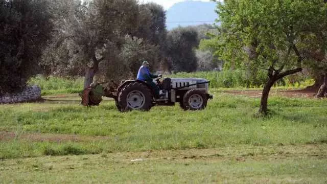 Giovani in agricoltura, la Sardegna all'ottavo posto in Italia: eccelle Nuoro, male Cagliari