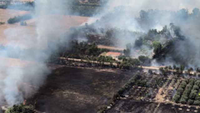 Gli incendi colpiscono i campi di cereali nell'Isola, stagione in crisi: 