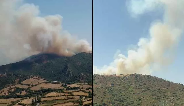 La Sardegna continua a bruciare, incendi da Nurri a Ozieri: canadair ed elicotteri in volo 