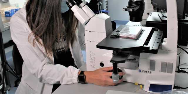 Brotzu di Cagliari, le cellule staminali da sangue cordonale salvano un bimbo di 12 mesi negli Usa