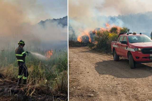 L'Isola in fiamme, Todde: 