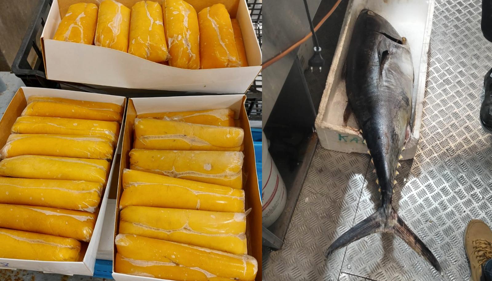 Cagliari, sequestrati 200 chili di tonno rosso e bottarga senza tracciabilità
