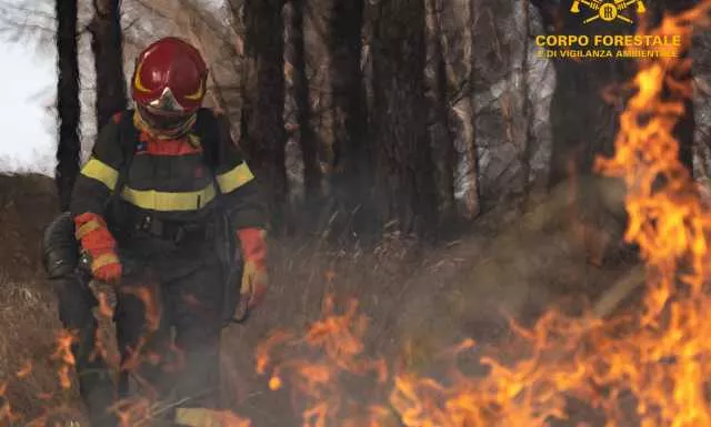 Grosso incendio nelle campagne di Villasor: arriva anche l'elicottero