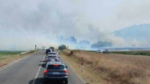 Incendio a Sanluri: a rischio un rimboschimento vicino alla provinciale 59