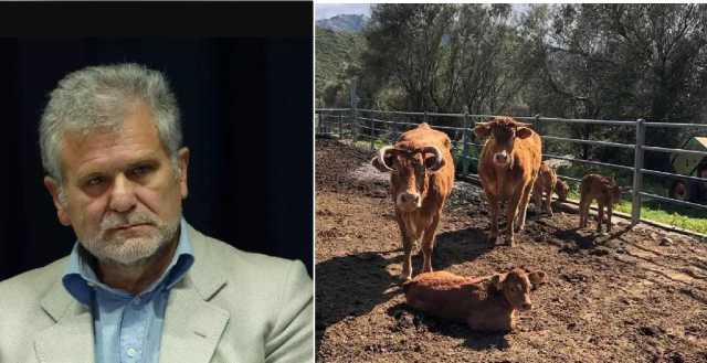Dermatite bovina, Bartolazzi al Ministero: 