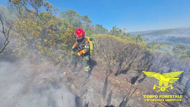 Ancora incendi in Sardegna: un rogo causato (forse) da un fulmine a Orroli