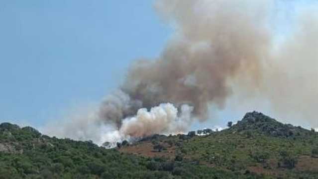 Decine di ettari di macchia mediterranea in cenere: un'altra giornata di fuoco in Sardegna