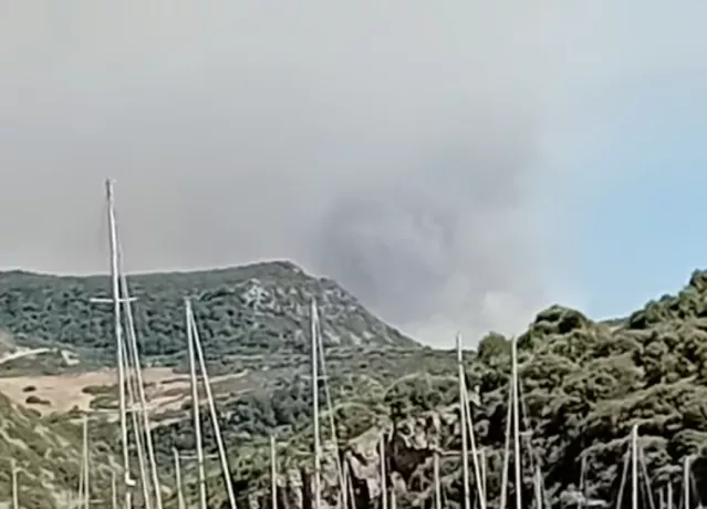 Grosso incendio nelle campagne di Sedini: paura per alcune aziende agricole (VIDEO)