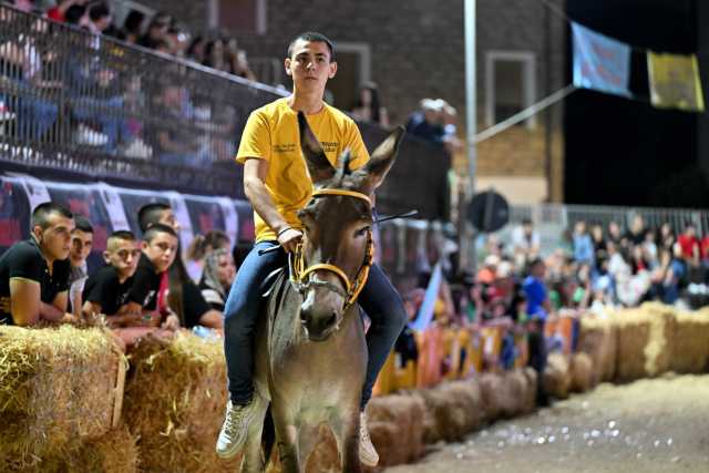 Asinelli pronti alle corse a Ollolai: torna il palio con la sua 22esima edizione