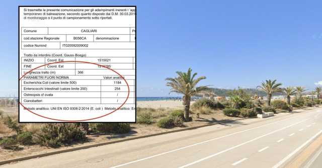 Escherichia coli ed enterococchi in mare: così è scattato il divieto di fare il bagno in un tratto del Poetto
