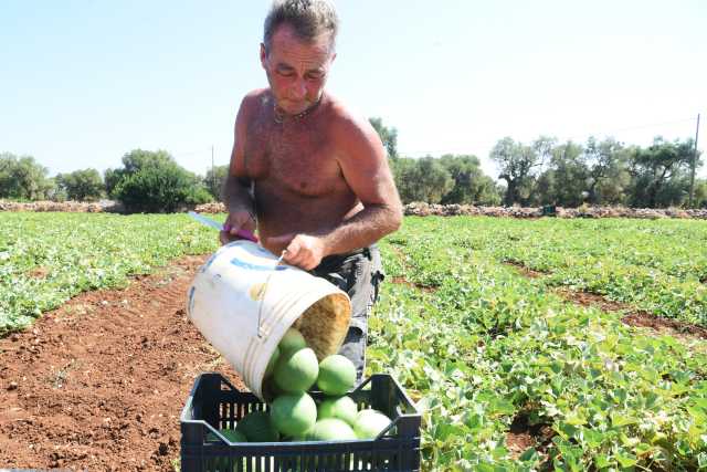 Caldo e lavoro, firmato al ministero il nuovo protocollo 