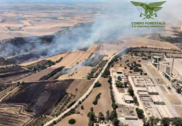 Ancora fuoco nell'Isola, 21 roghi oggi: a Serramanna morti diversi animali