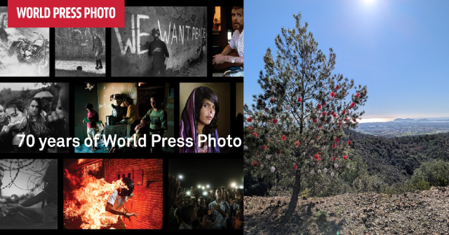 World Press Photo 2025: a Solanas e al Mua di Sinnai le foto vincitrici del prestigioso contest