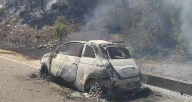 Un'auto in fiamme incendia un ettaro di bosco: così è partito il rogo a Belvì