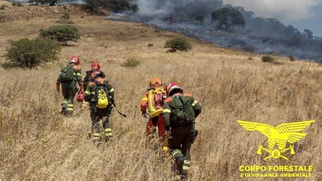 Incendi in Sardegna, 16 rohi oggi: canneti bruciati tra Bari Sardo e Santadi