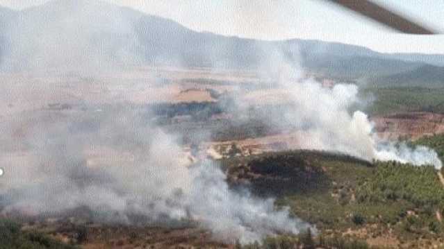 Incendi in Sardegna, oggi a Uta anche mezzi aerei regionali: macchia mediterranea in cenere