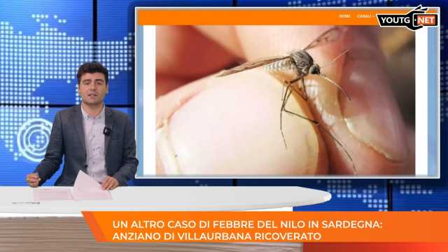 Il Tg del mattino - 14 Agosto 2025