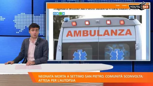 Il Tg del mattino - 26 Agosto 2025