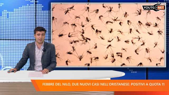 Il Tg del mattino - 28 Agosto 2025