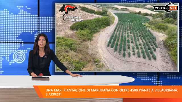Il Tg del mattino - 29 Agosto 2025
