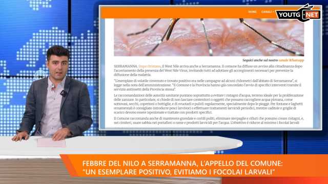 Il Tg della sera - 5 Agosto 2025