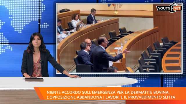 Il Tg della sera - 6 Agosto 2025