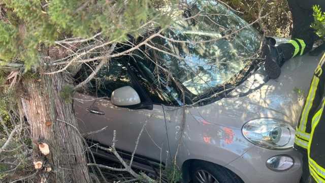 Auto esce di strada e finisce incastrata tra gli alberi a Porto Torres: interviene l'elisoccorso