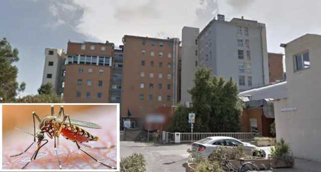 Febbre del Nilo, c'è un altro decesso: è una 60enne di Cabras