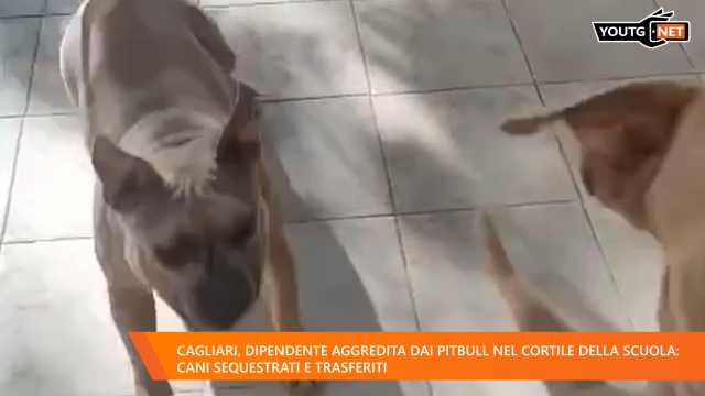 Il Tg della sera - 5 Settembre 2025