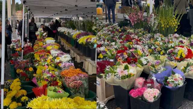 Cimitero San Michele Cagliari, gli affari dei fiori al cimitero di San Michele?