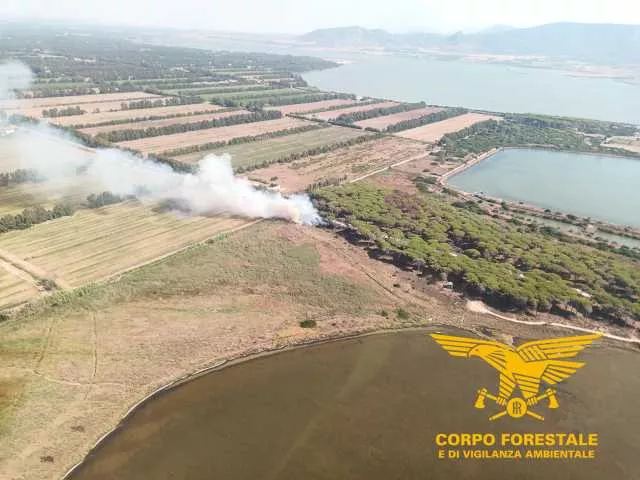 IMG 20250818 161256 725