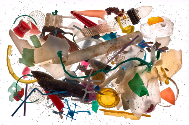A Sassari i rifiuti diventano arte: la mostra a Palazzo Ducale dal 28 ottobre