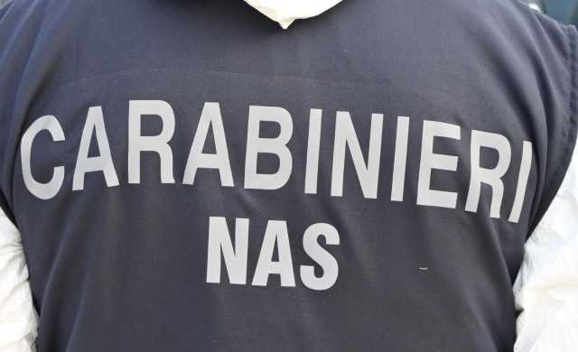 Carabinieri Nas 5 Quartu, infestazione di blatte e sporcizia: chiuso un panificio, sequestrati 70 chili di alimenti