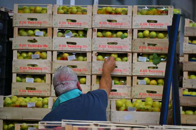 Sanluri, ruba duemila euro di frutta fresca: denunciato un pensionato