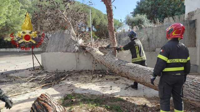 Vigili Del Fuoco Alberi Caduti Alberi caduti da Quartu a Carbonia: decine di interventi per le forti raffiche di vento (Video)