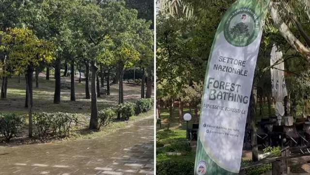 Forest Bathing Cagliari, a Monte Urpinu il primo percorso Forest Bathing: