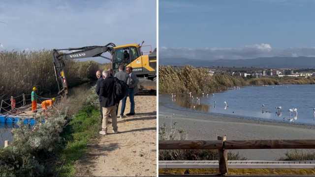 Parco Molentargius Molentargius, primi lavori (dopo 40 anni) sul canale per preservare le saline e le nidificazioni (Video)
