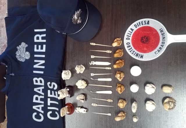 WhatsApp Image 2025 11 18 At 09.20.40 Muravera, scoperti e sequestrati 34 oggetti illegali in avorio: denunciata una 60enne