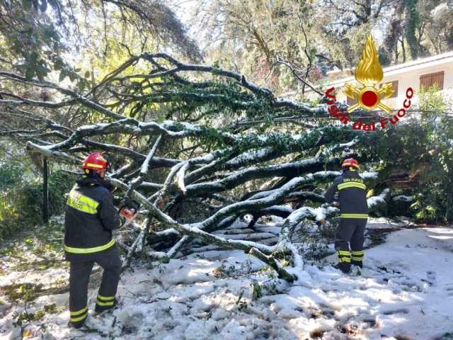 Neve in Sardegna, tra spettacolo e disagi: alberi caduti ad Abbasanta e blackout a Seulo