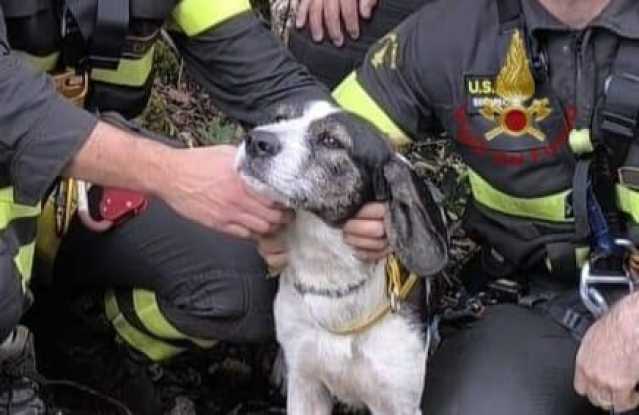 Cane E Capra Santadi, un cane e una capra restano bloccati a 520 metri di altitudine: salvati dai vigili del fuoco