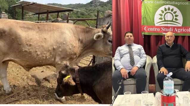 Movimentazione dei bovini, il Centro Studi Agricoli: 