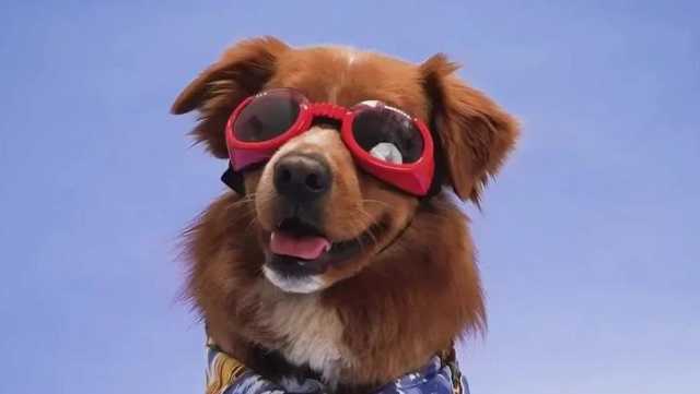 Contro Tg Episodio 6