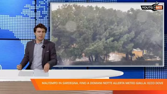 Il Tg della sera - 2 Dicembre 2025